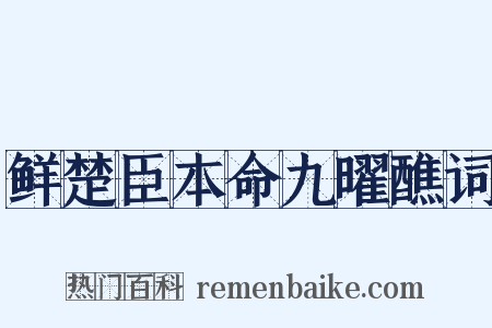 鲜楚臣本命九曜醮词是什么意思的图片